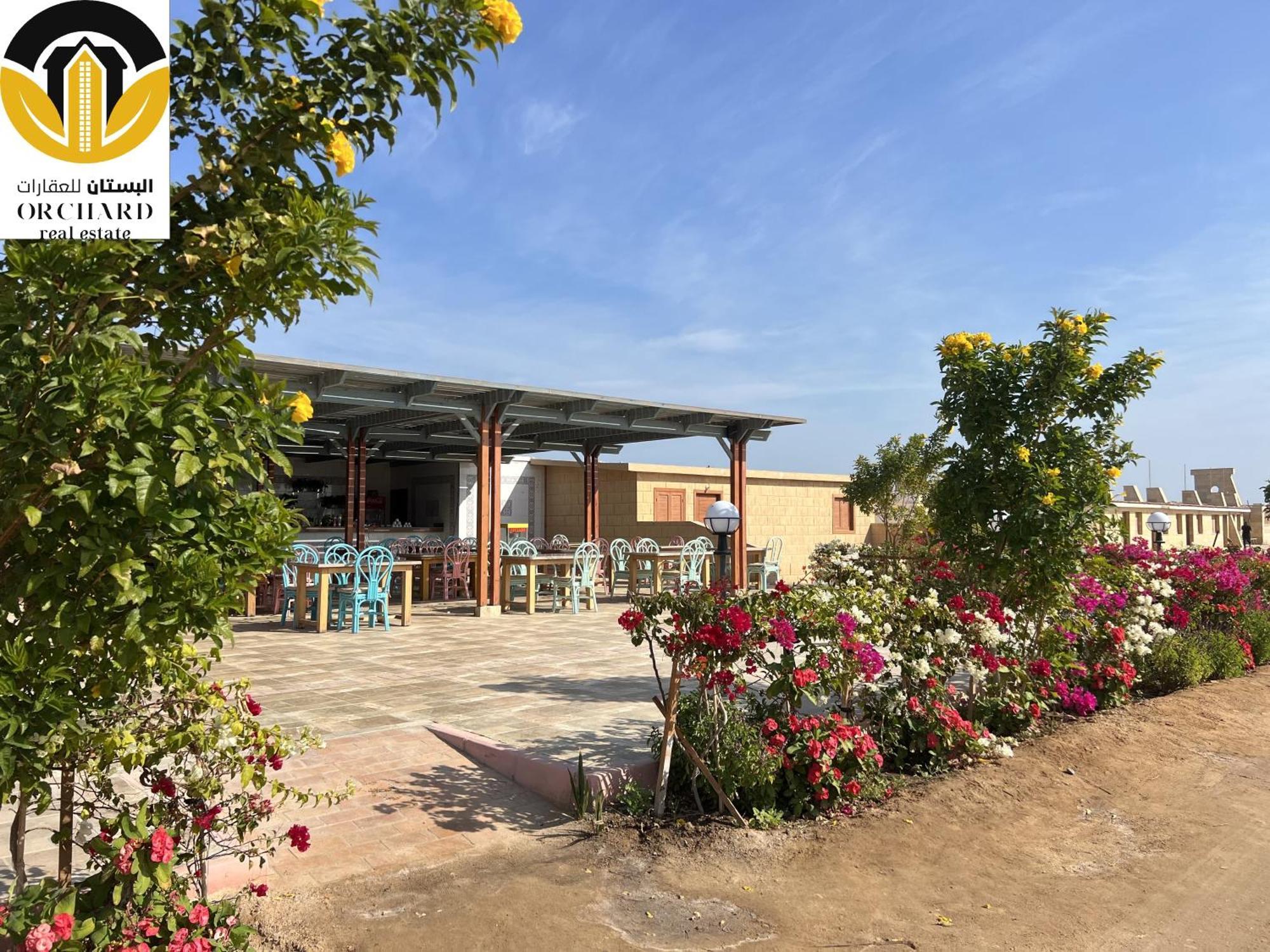 Princess Resort 462 الغردقة المظهر الخارجي الصورة